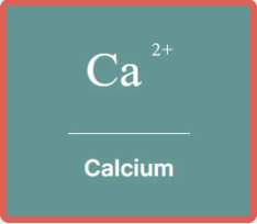 Calcium