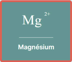 Magnésium