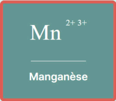 Manganèse